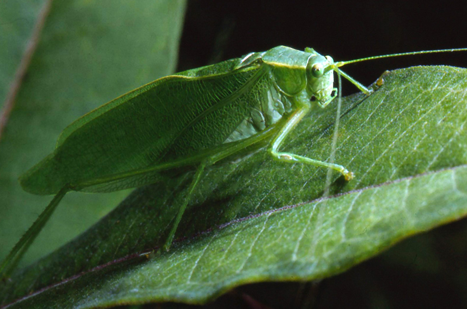 Nature Winners_00027