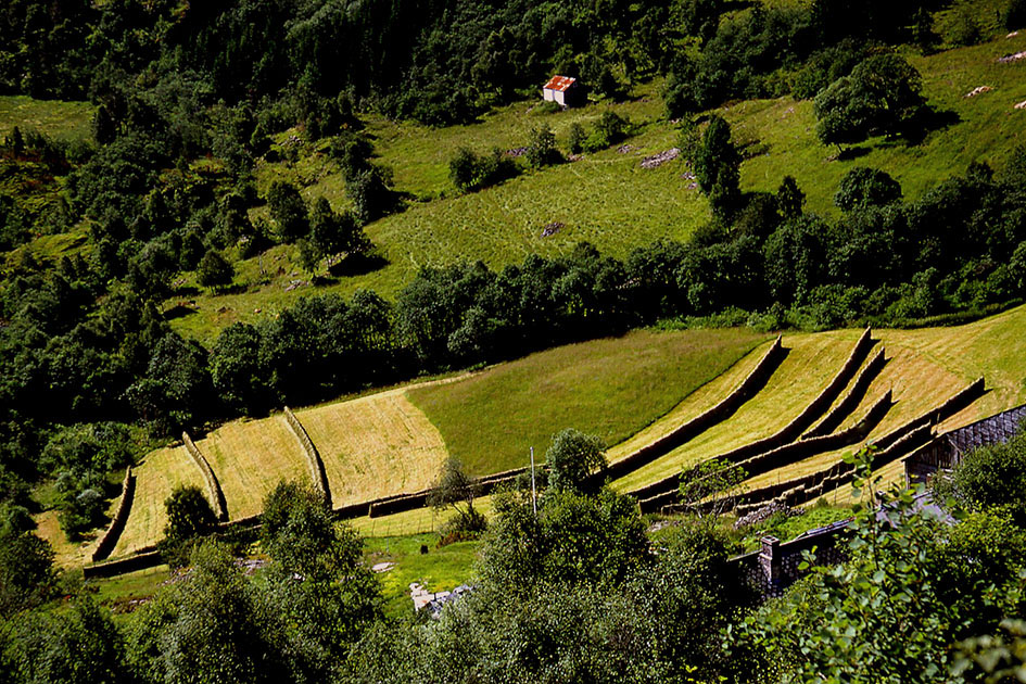 Scandanavian Holiday 1 0057