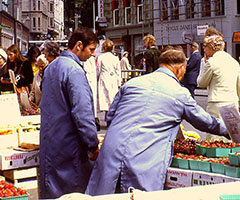 Scandinavian Holiday 1