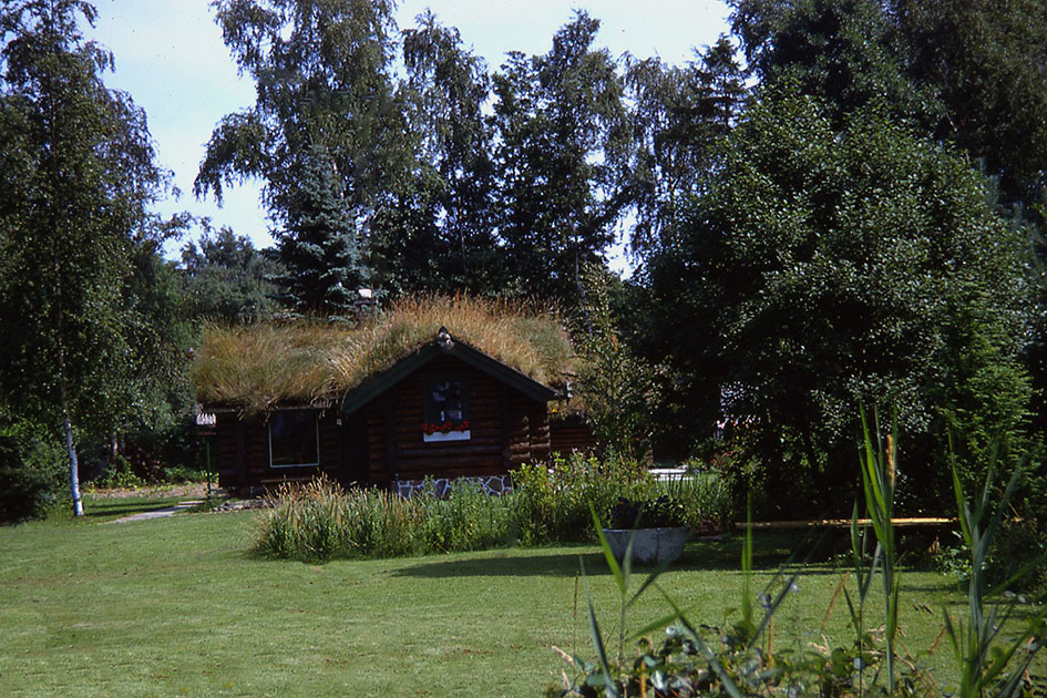 Scandanavian Holiday 2 0019