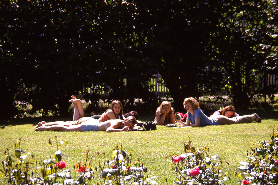 Scandanavian Holiday 2 0092