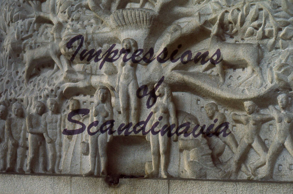 Scandanavian Holiday 2 0127