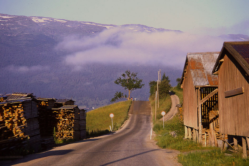 Scandanavian Holiday 2 0135