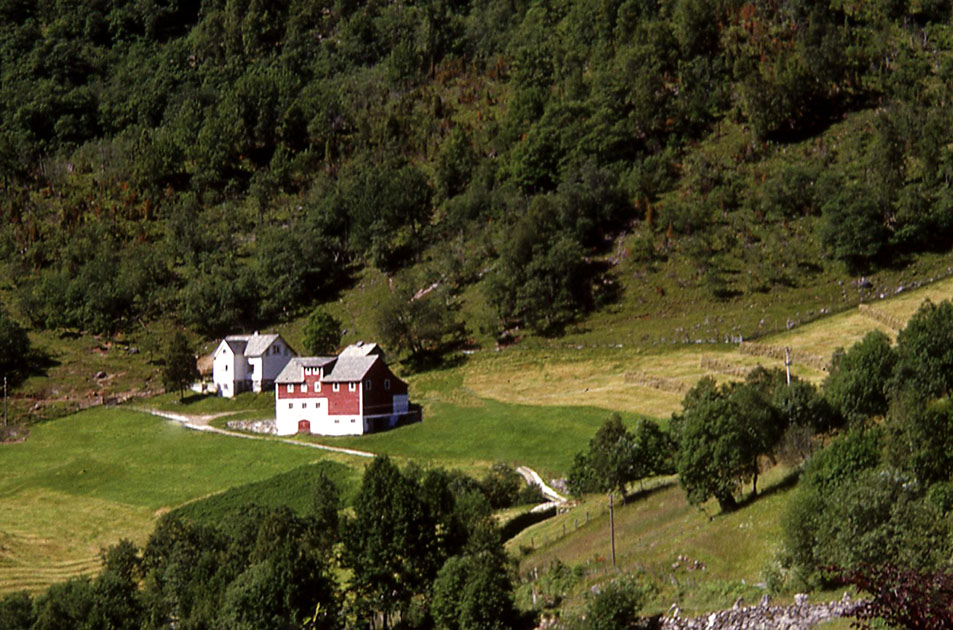 Scandanavian Holiday 2 0139