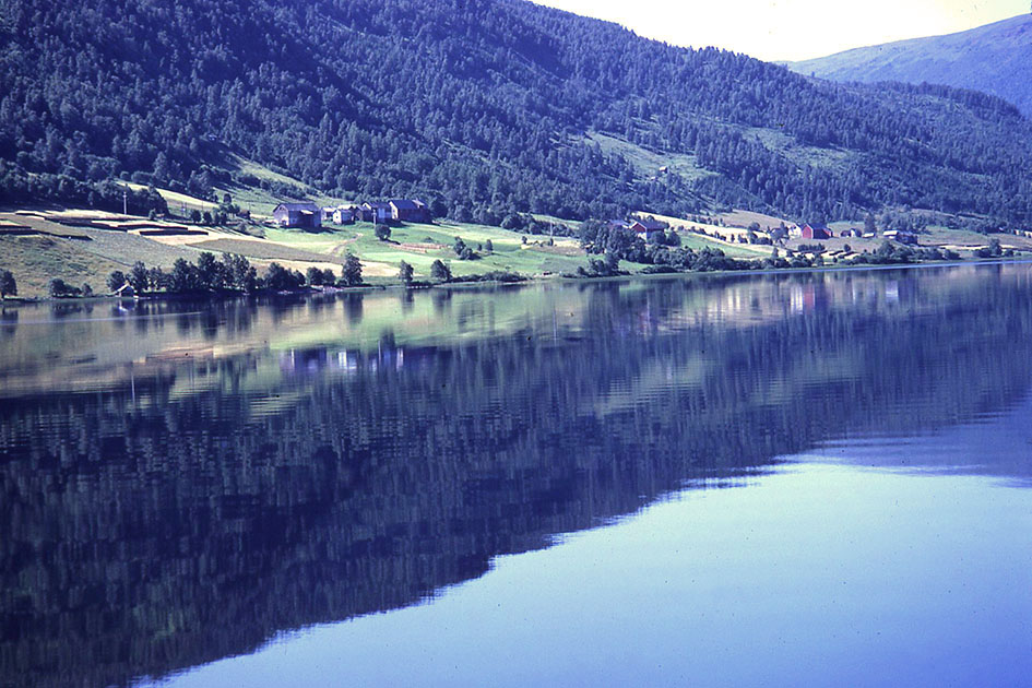 Scandanavian Holiday 2 0141