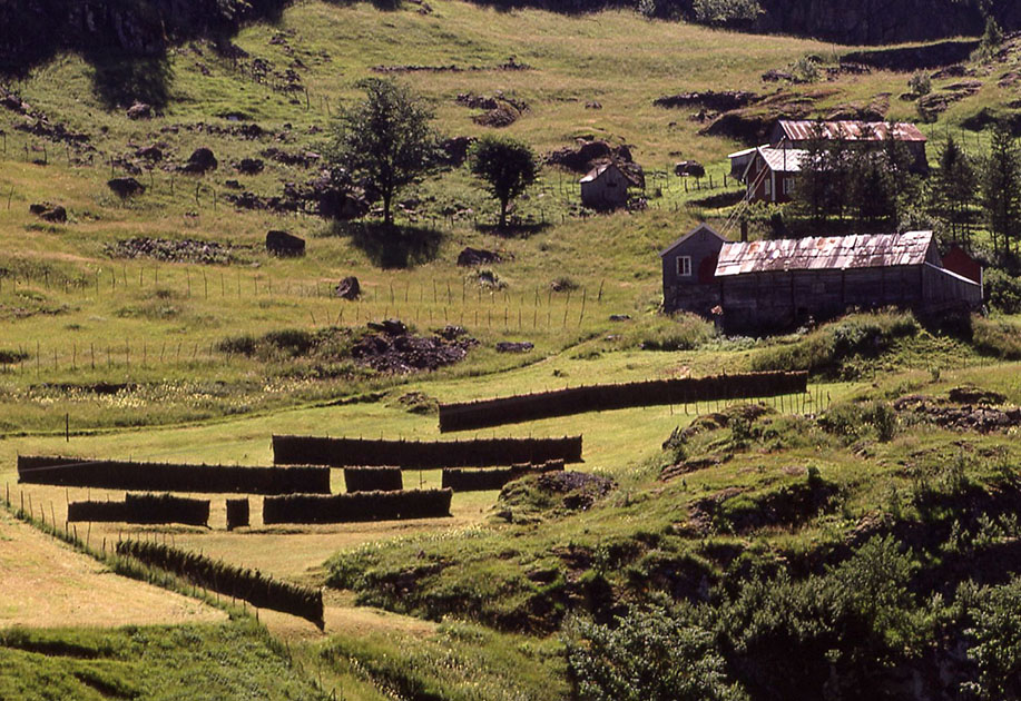 Scandanavian Holiday 2 0143