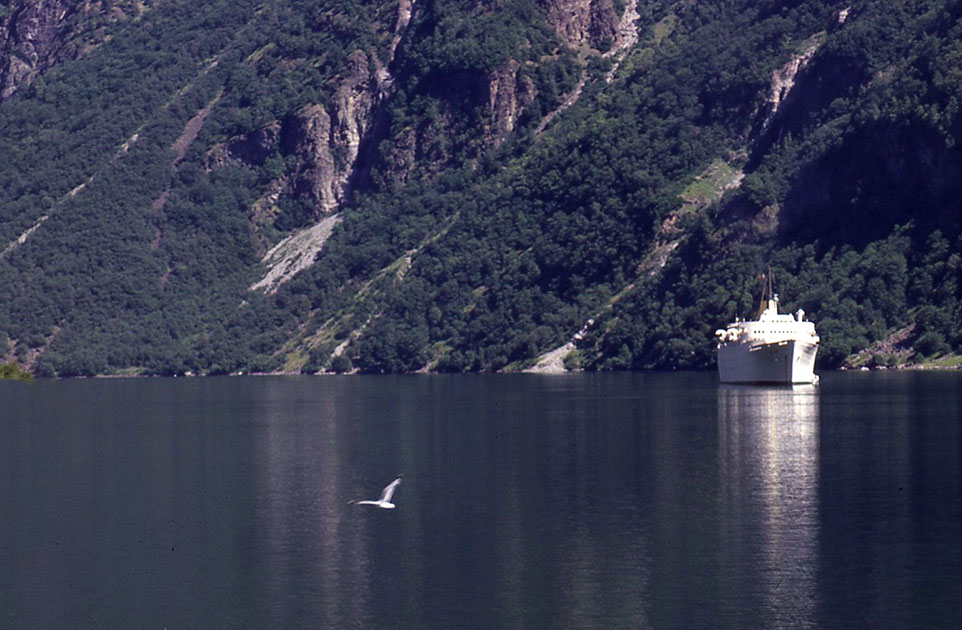 Scandanavian Holiday 2 0144