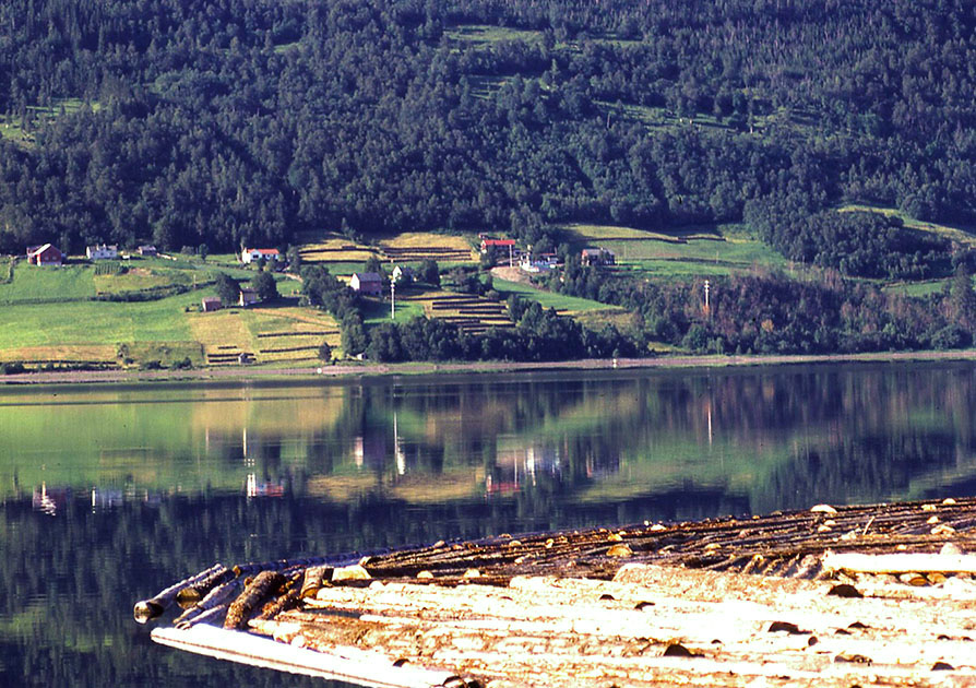 Scandanavian Holiday 2 0161