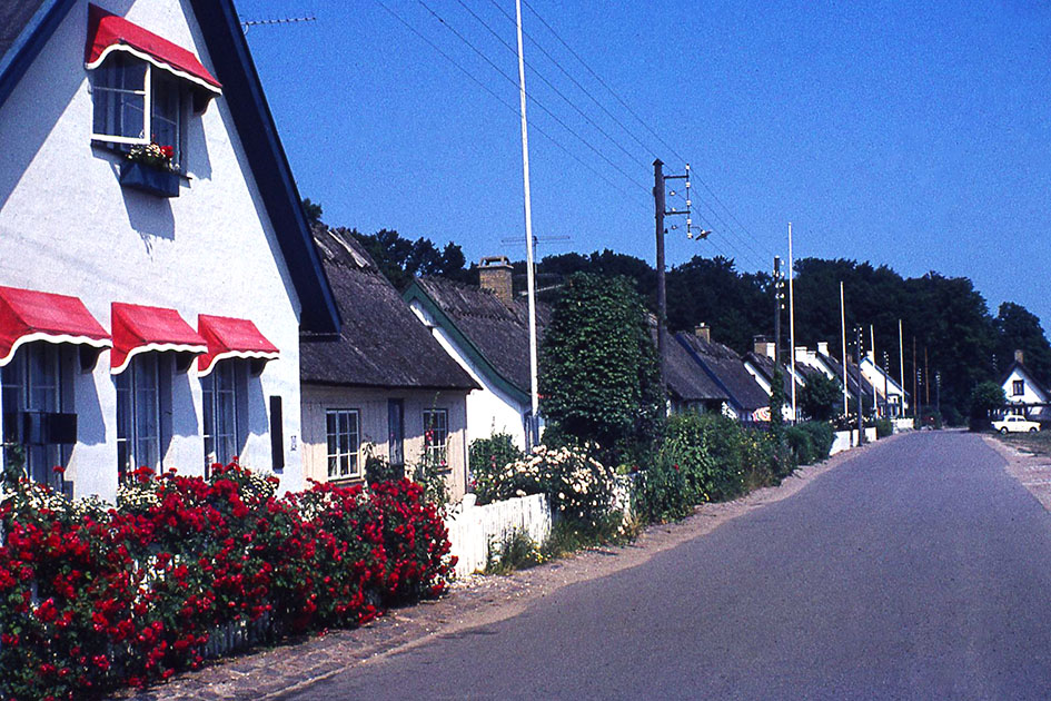 Scandanavian Holiday 2 0163