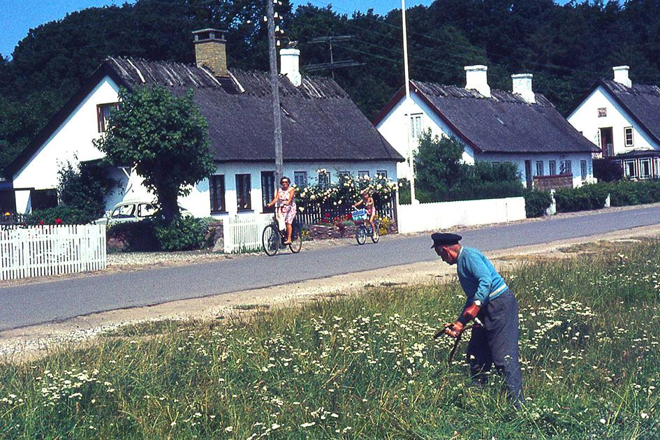 Scandanavian Holiday 2 0164