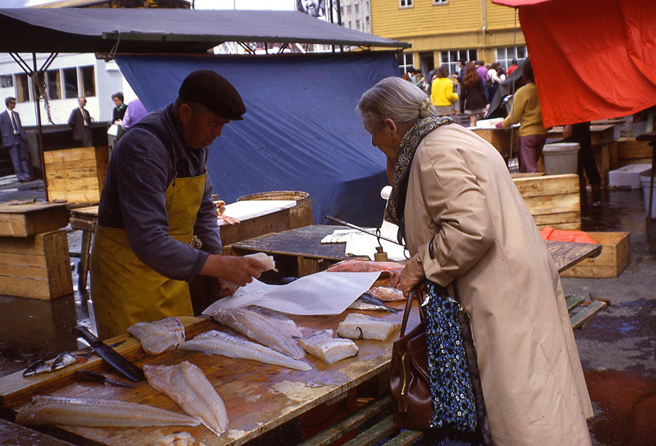 Scandanavian Holiday 2 0166