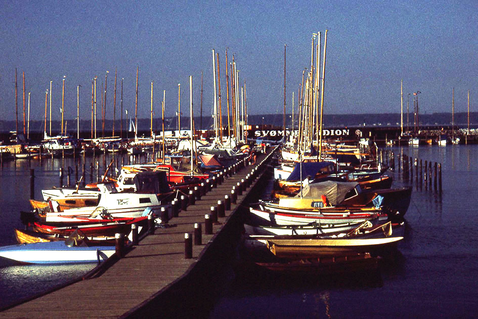 Scandanavian Holiday 2 0174