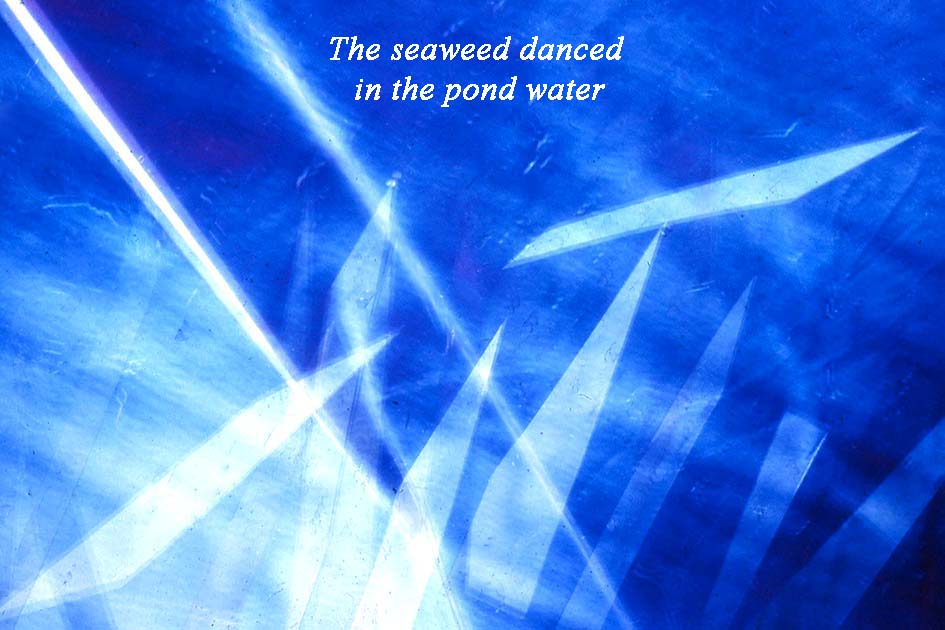 johnny and scottie 0009