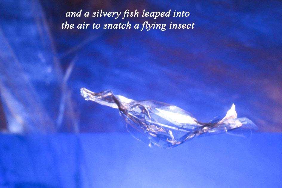 johnny and scottie 0010