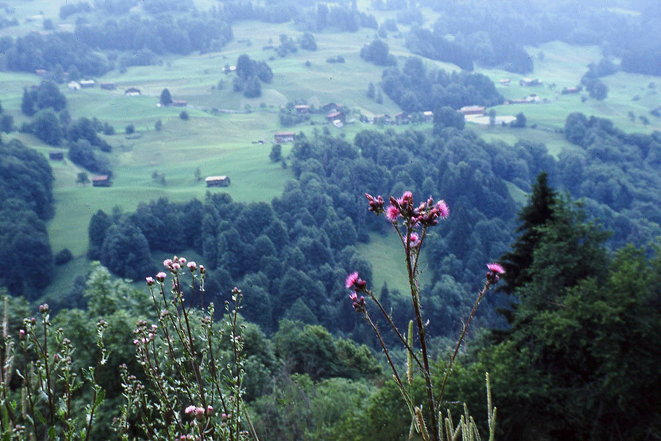 Short Studies Two 0003