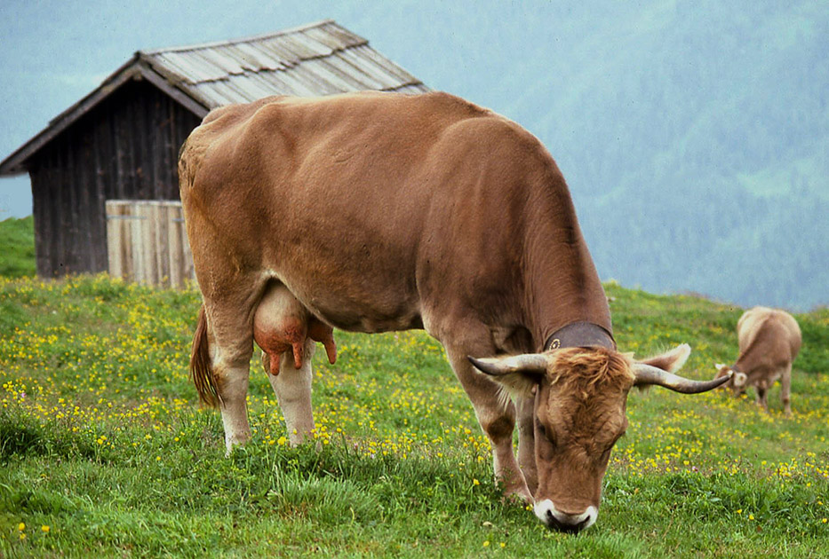 Short Studies Two 0005