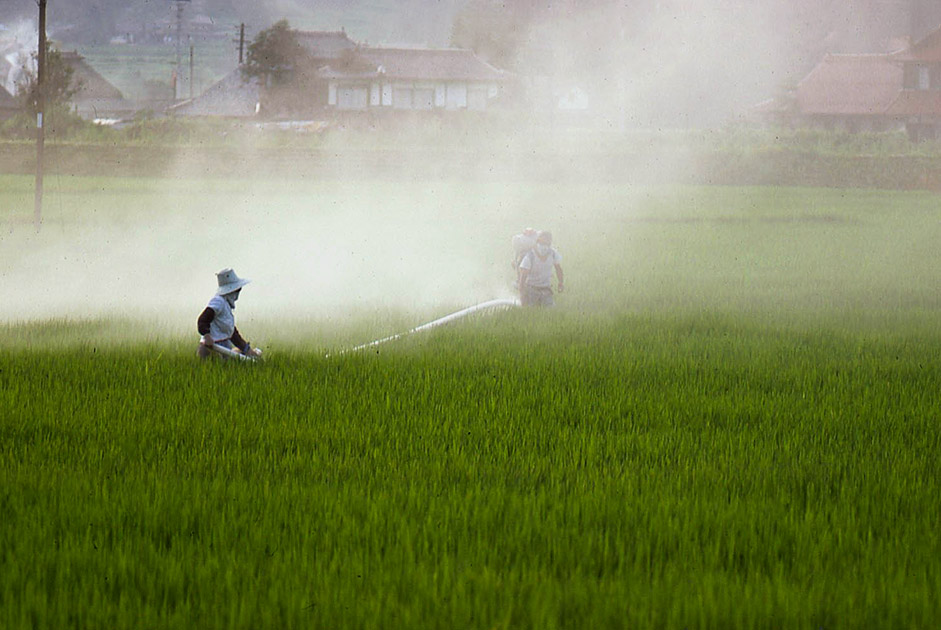 Short Studies Two 0063