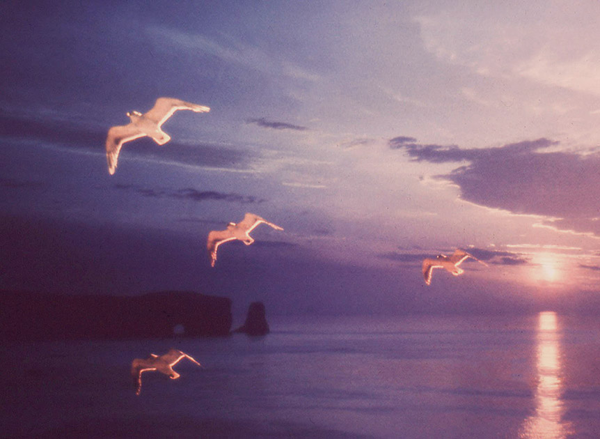 Short Studies One 00014