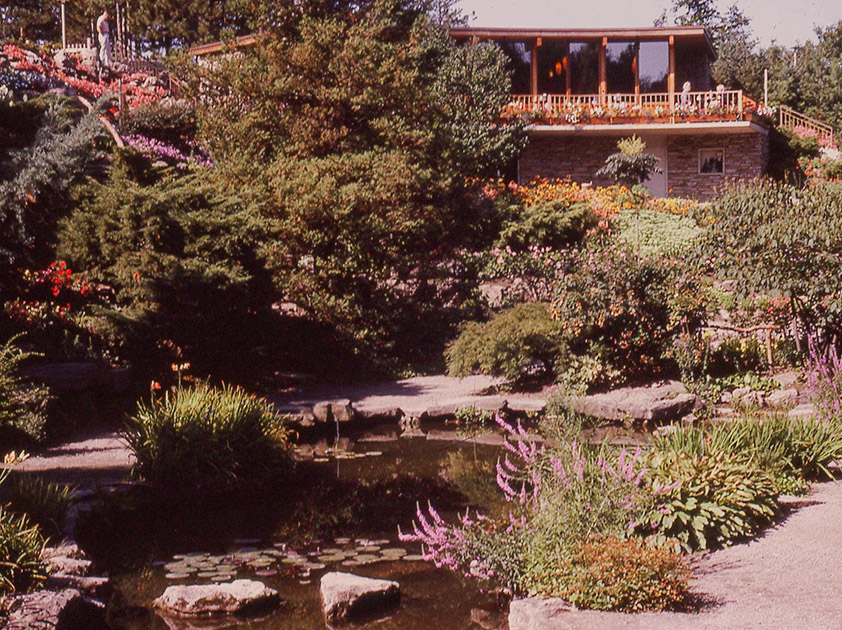 Short Studies One 00018