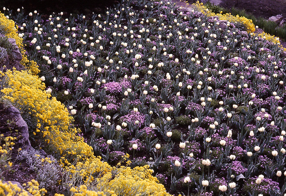 Short Studies One 00026