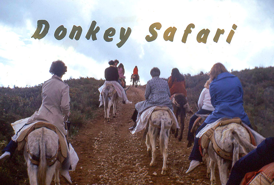 Short Studies One 00034