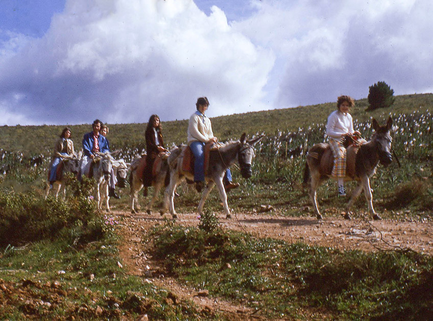 Short Studies One 00039