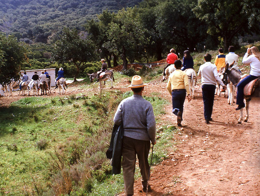 Short Studies One 00043