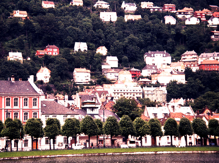 Scandinavian One 00010