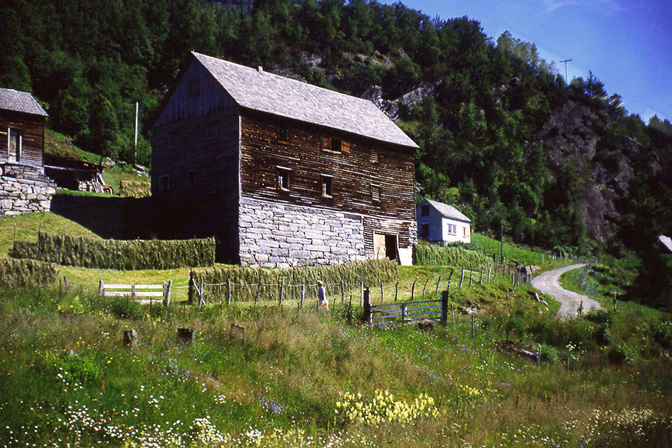 Scandinavian One 00045