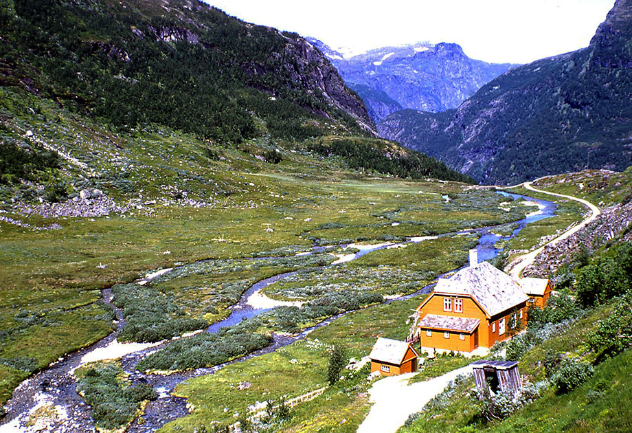 Scandinavian One 00048