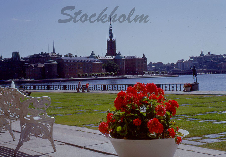 Scandanvian Holiday One 00128