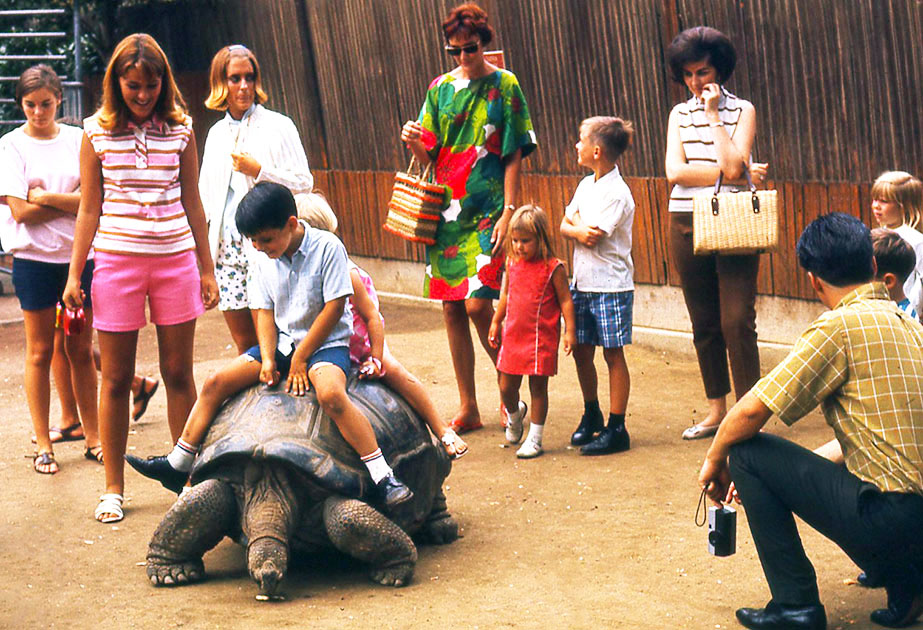 Disney-Zoo 00103