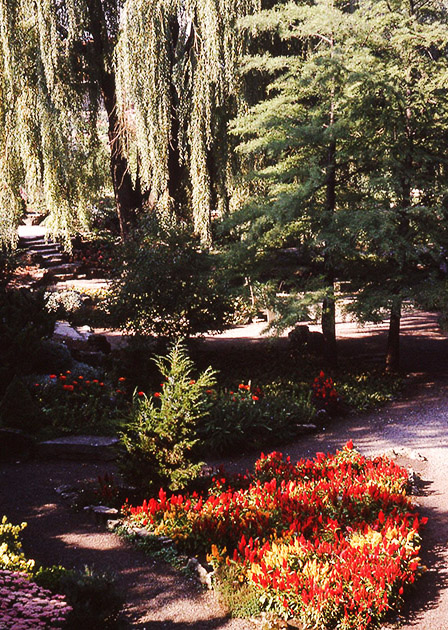 Short Studies One 00022