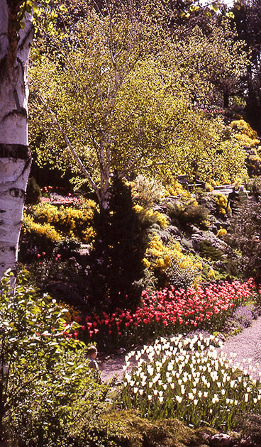 Short Studies One 00023