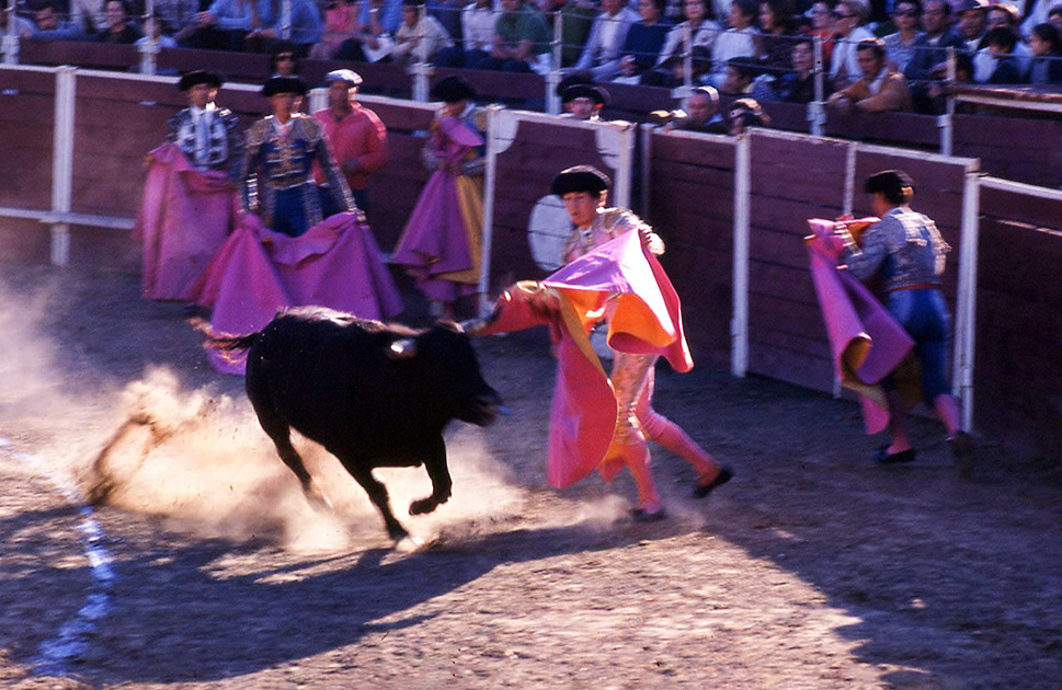 Short Studies One 00059