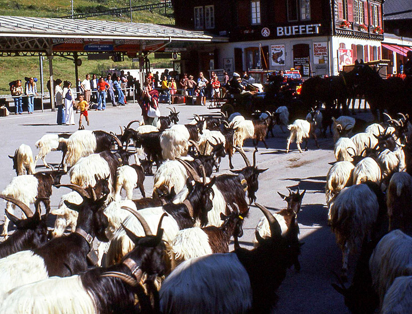 Short Studies Two 00012