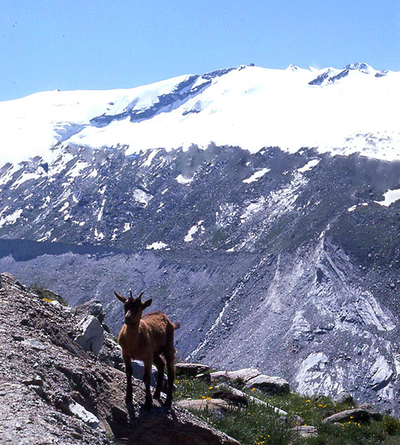 Short Studies Two 00019