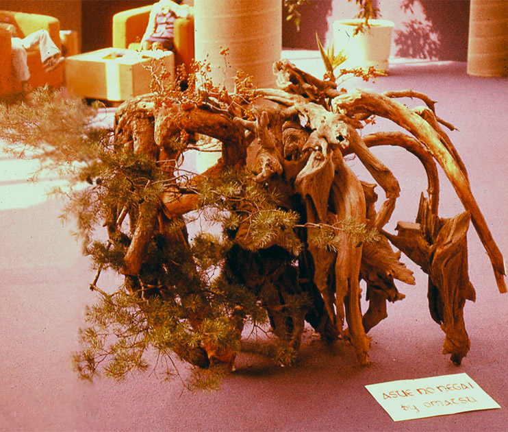 Short Studies Two 00041