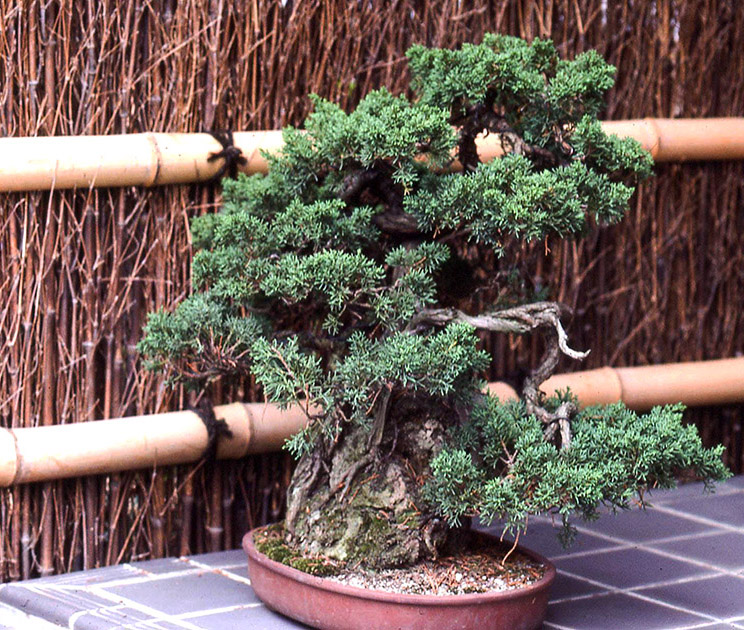 Short Studies Two 00047