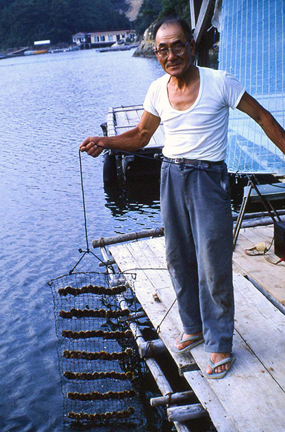 Short Studies Two 00068