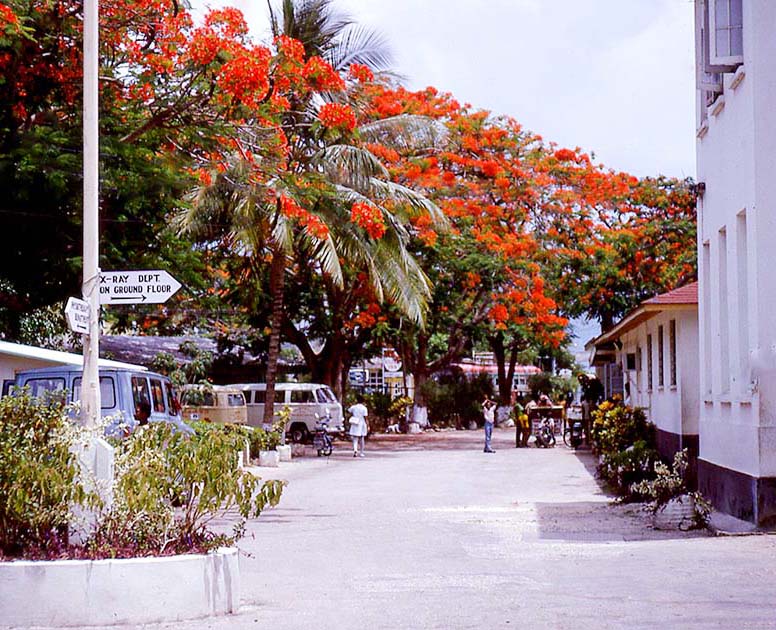 jamaica 0039