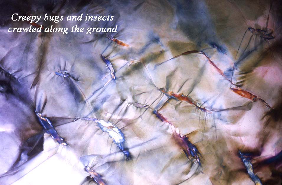 johnny and scottie 0006