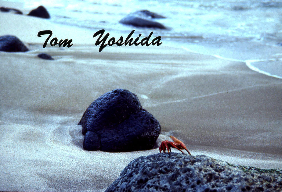 Ecuador Galapogos 00004