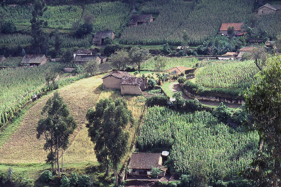 Ecuador Galapogos 00031