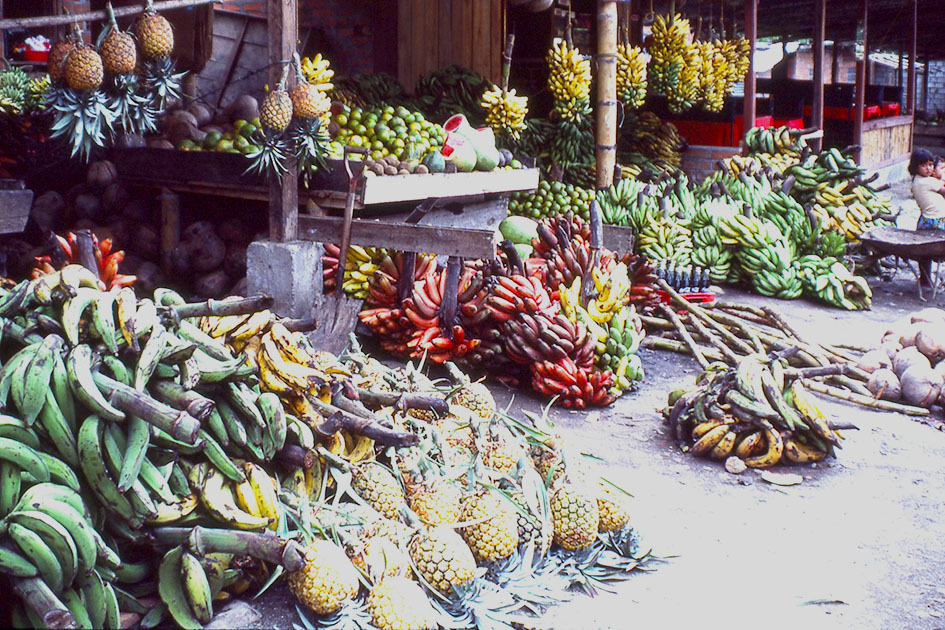 Ecuador Galapogos 00040