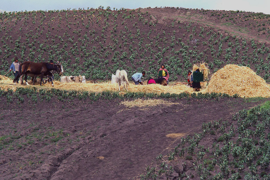 Ecuador Galapogos 00042