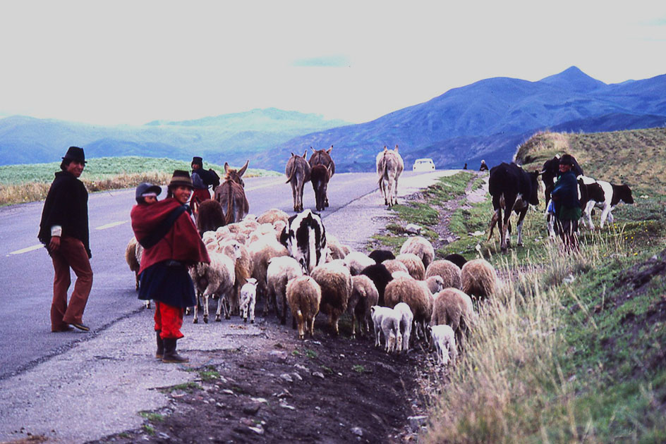 Ecuador Galapogos 00043