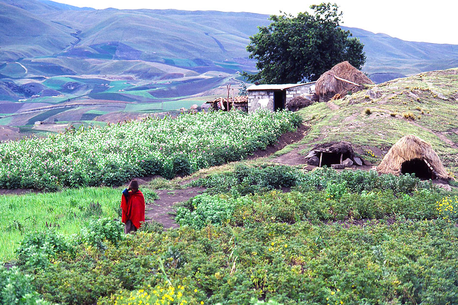 Ecuador Galapogos 00044