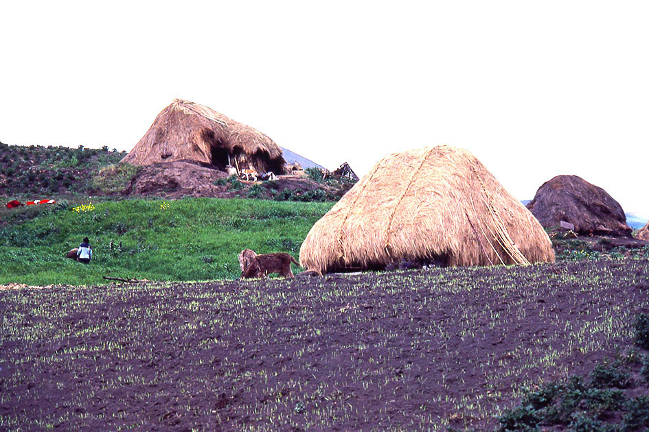 Ecuador Galapogos 00045