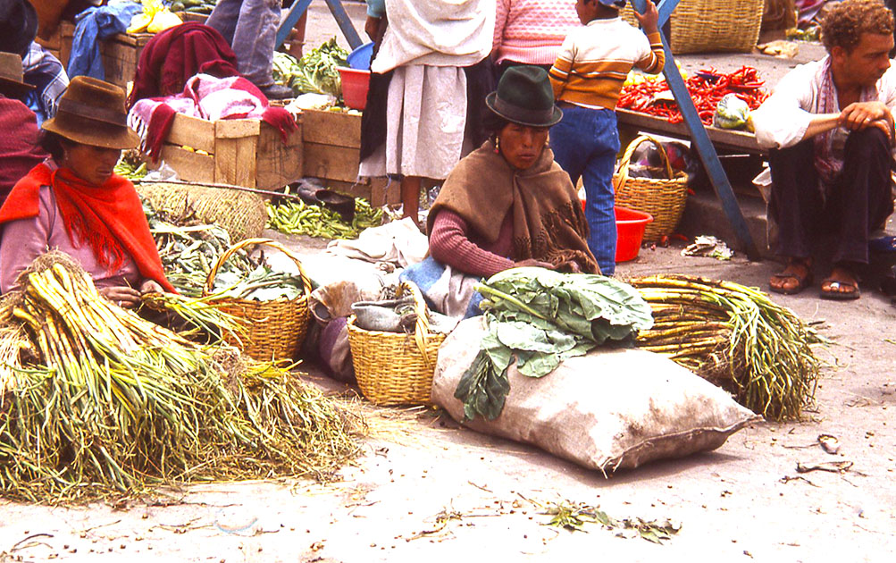 Ecuador Galapogos 00050